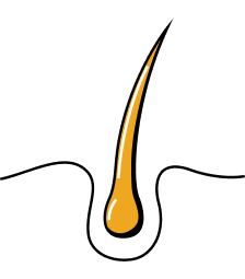 Semaglutide